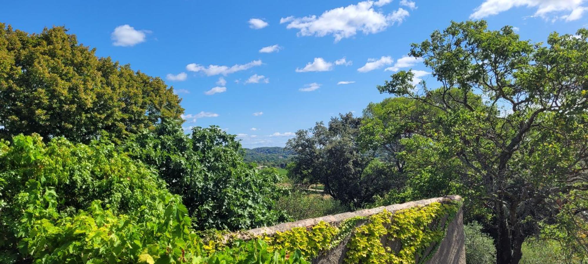 Le Domaine Du Soulier -Gite Et Chambres D'Hotes - La Maison Du Gardien Tornac Luaran gambar