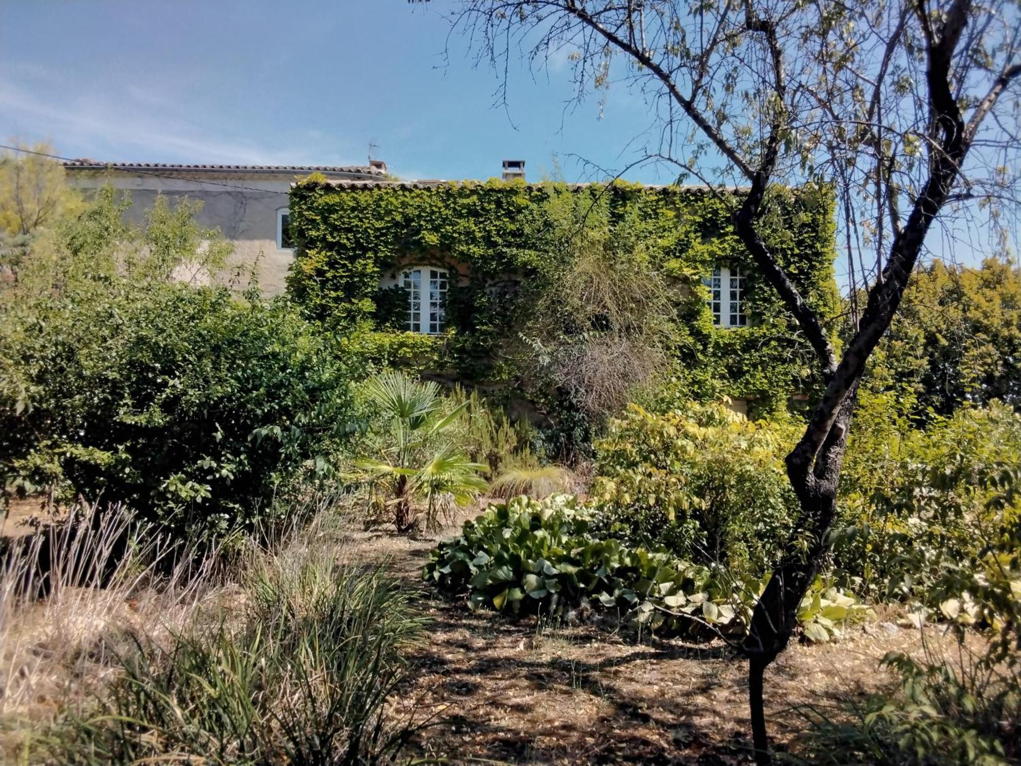 Le Domaine Du Soulier -Gite Et Chambres D'Hotes - La Maison Du Gardien Tornac Luaran gambar